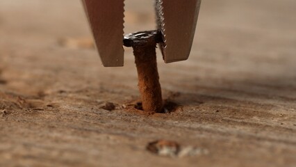 The gripping jaws of pliers clamp on a rusty nail, poised to extract it from the wooden plank.