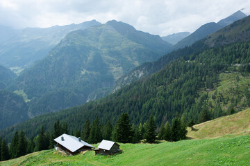 Alpine landscape in Austria  - 719555467