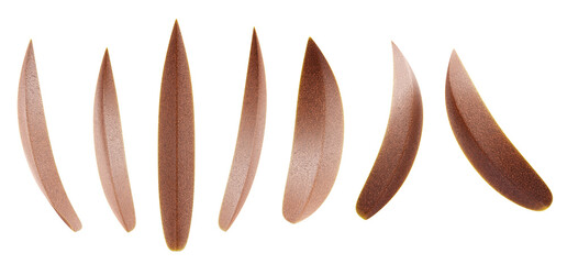 Dry Leaves isolated background 3d rendering without 