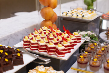 Delicious Piece of Cake on a plate. Desserts. 