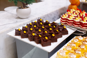 Chocolate Cakes with Flower on Top. Delicious Dessert.