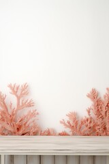 Empty wooden coral table over white wall background