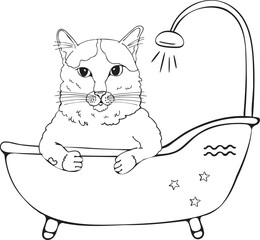 Coloring cartoon Aquarius cat sitting in a bathtub, vector zodiac illustration
