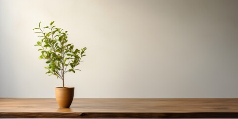 Wood Table and small plant in the foreground in the minimal interior room,