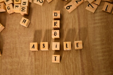 droit d'asile en cubes