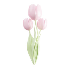 Realistic tulip flowers vector illustration. March 8, women's day, mother's day, congratulations. Sticker, emblem, banner, label, sticker. Advertising. International Happy Women's Day. Vector in paste
