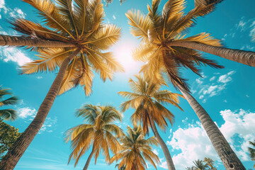 Fototapeta na wymiar Tropical coconut palm trees with clear blue sky