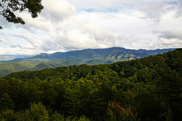 Serene Smoky Mountains Vista with Autumn Foliage from Hillside Perspective