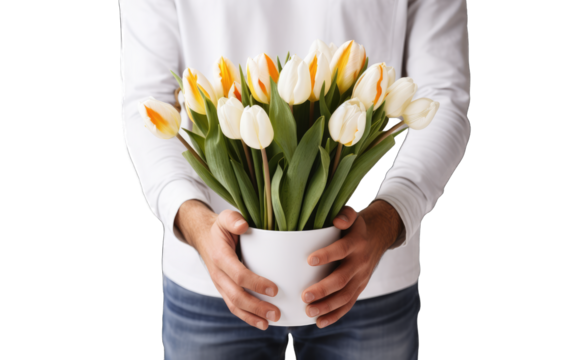 Concept of Valentine's Day. isolated on white background. Hold bouquet purple tulips in hand