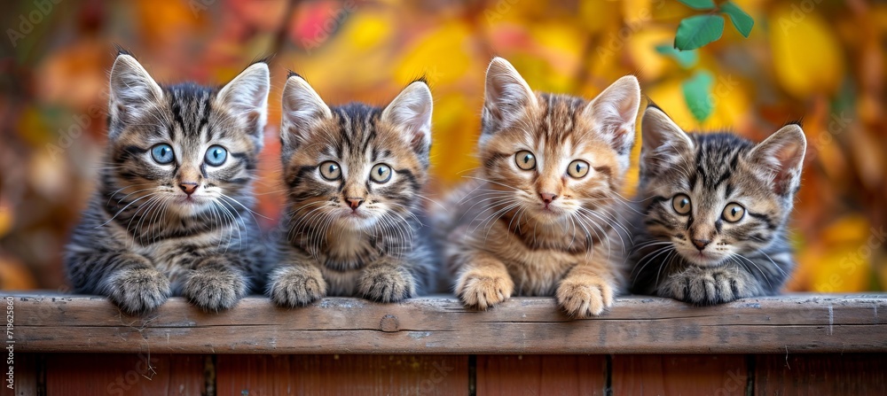 Poster charming group of kittens in various colors and patterns, creating an adorable and delightful scene.