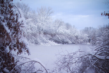 Snow Landscapes out in the country side of the Midwest 
