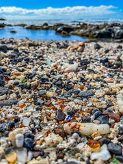 sea glass on rocky beach with corals
