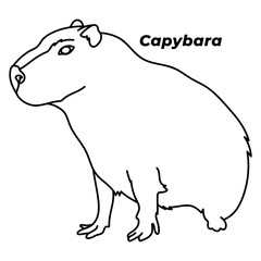capybara for coloring line art