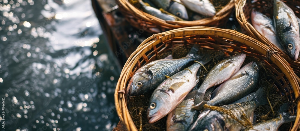 Poster several baskets full of fish freshly caught from the sea. copy space image. place for adding text