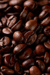 Grão de café coffee bean 