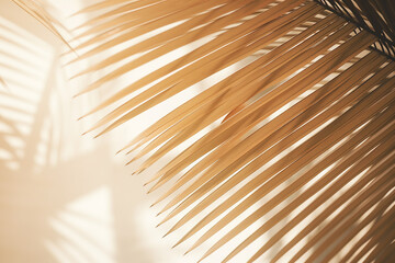 "Blurred Natural Palm Leaves Shadow Background on Bright Surface"

