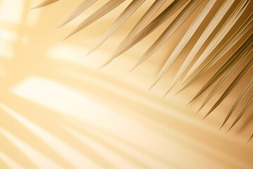 "Blurred Natural Palm Leaves Shadow Background on Bright Surface"

