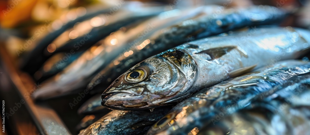Poster raw sea fish on a factory conveyor production of canned fish. copy space image. place for adding tex