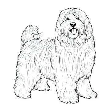 Coloring book for children depicting aold english sheepdog