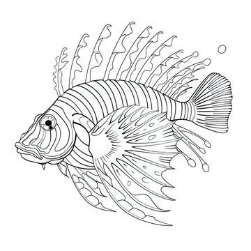 black and white lionfish swimming clip art preview