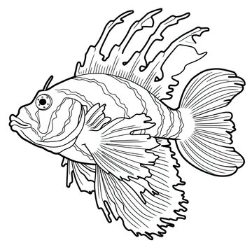 Coloring book for children depicting ascorpionfish