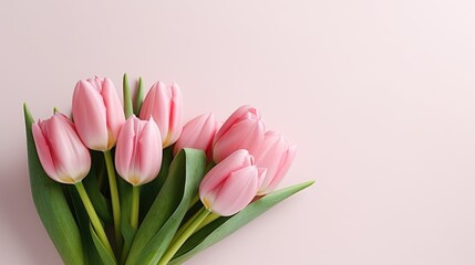 pink tulip bouquet on pink background