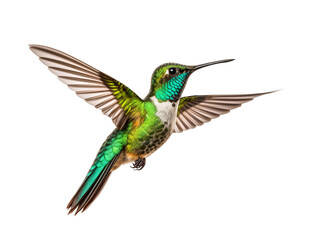 a hummingbird flying in the air - obrazy, fototapety, plakaty
