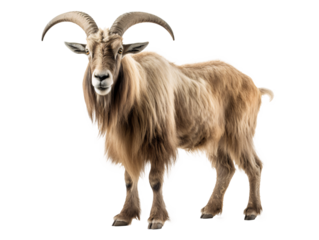 a bouquet of flowers with white and orange flowers