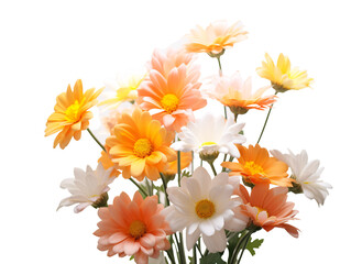 a group of flowers on a white background