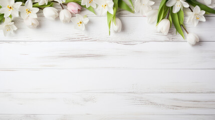 spring flowers tulips with copy space on white rustic wooden table, top view