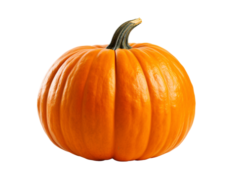 a pumpkin with stem on a white background