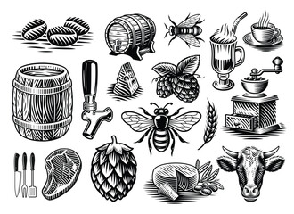 Vector illustrations in engraving style