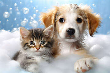 Puppy and kitten in the batch with bubbles