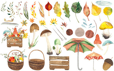 set of autumn series elements leaf mushroom basket flower hand drawn watercolor illustration on transparent background