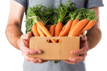 Close up of person holding box full of carrots over isolated transparent background