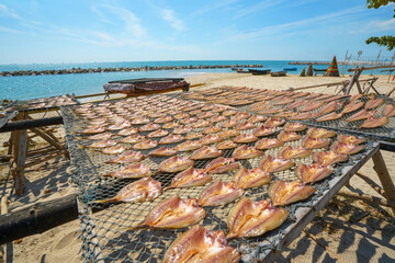 Sun-Dried and Deep-Fried Fish in the Fishing Village