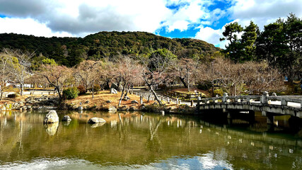 a body of water with a bridge and trees in the background