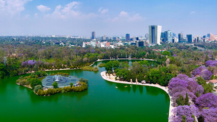 Aerial view of Jacaranda Trees and a lake during spring against sky