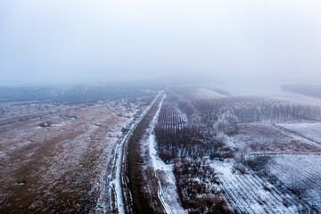 Winter's Veiled Elegance: Aerial View of Fog-Enveloped Forest