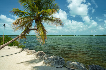 Florida Keys - 719716647