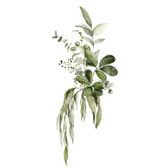 Watercolor floral composition. Hand painted flowers, green forest leaves of fern, eucalyptus leaf. Bouquet isolated on white background. Botanical illustration for design, print or background