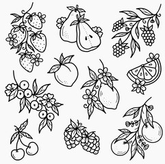Summer fruit flowers outline vector SVG