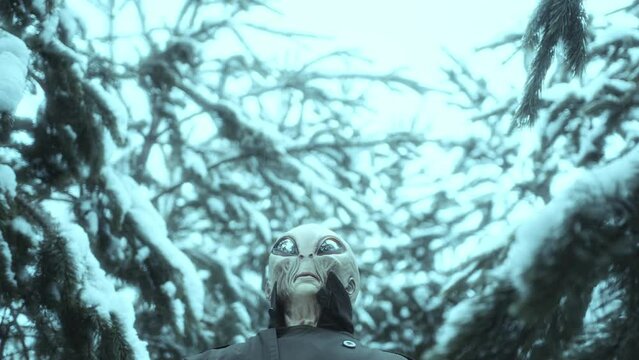Alien standing among snowy trees in the woods, staring at camera and then looking up at the sky. Low angle view