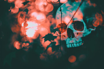 Skull in the forest. Halloween concept. Selective focus.