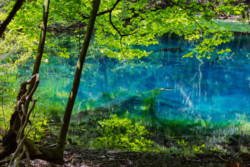 日本の風景　山形県遊佐町　神秘の池　丸池様	
