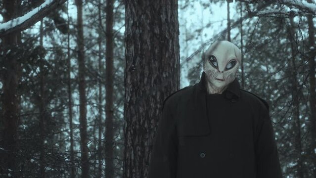 Curious alien wandering alone in pine forest on winter day and approaching the camera