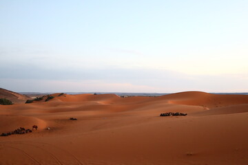 Fototapeta na wymiar Sahara desert Morroco