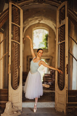 Graceful ballerina performing her art at abandoned house.