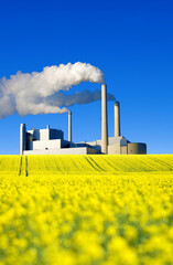The smoky northern combined heat and power plant, Heizkraftwerk Nord, Combined heat and power plant, Waste to energy plant, Munich, with yellow rape field, (Brassica Napus) Bavaria, Germany, Europe