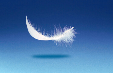 a single white feather, floating above a blue background